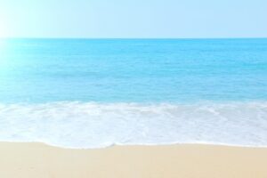 【Java】isNullでnullの判定を行う方法 | コーディングライフスタイル