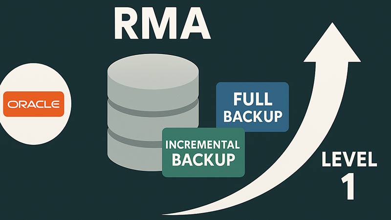 【Oracle】RMANで増分バックアップを取得する方法｜LEVEL 0とLEVEL 1の違いと使い分け